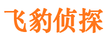 杜集市婚姻调查